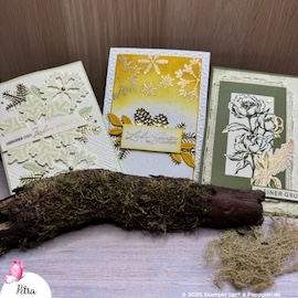 Team Challenge Be inspired 11 25 Petra